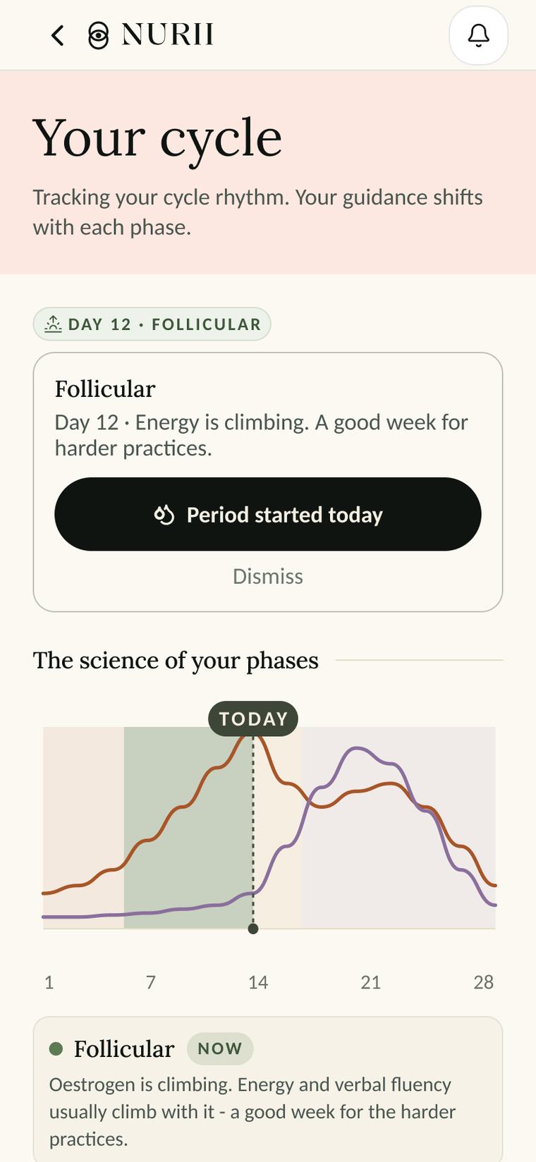 Nurii's cycle screen, following the current phase.