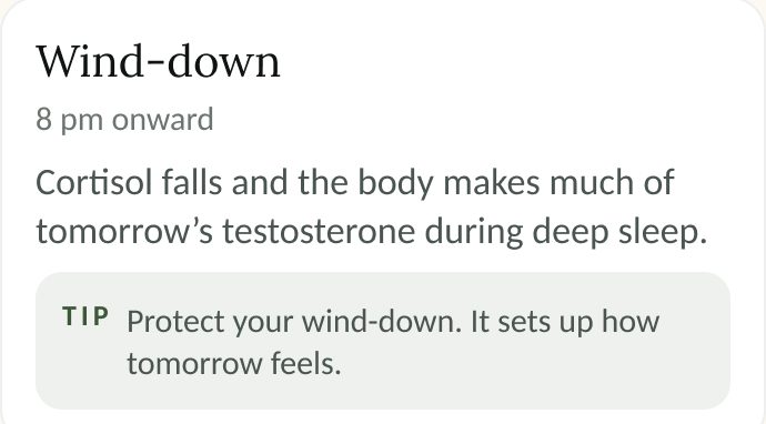 Wind-down, 8pm onward: cortisol falls and the body makes much of tomorrow's testosterone during deep sleep.